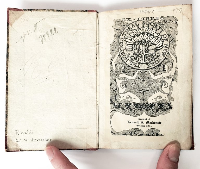 Il mostruosissimo mostro. Di Giovanni de' Rinaldi, diviso in due … | Immagine Gallery 10