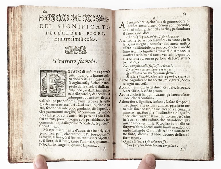 Il mostruosissimo mostro. Di Giovanni de' Rinaldi, diviso in due … | Immagine Gallery 4