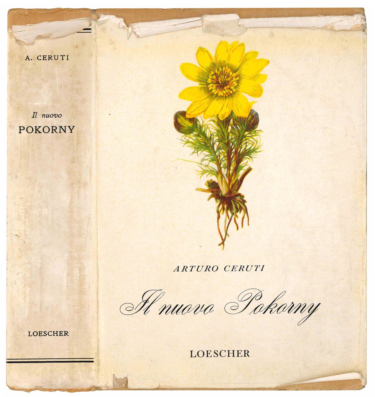 Il nuovo Pokorny. La botanica illustrata secondo il metodo Pokorny. | Immagine principale