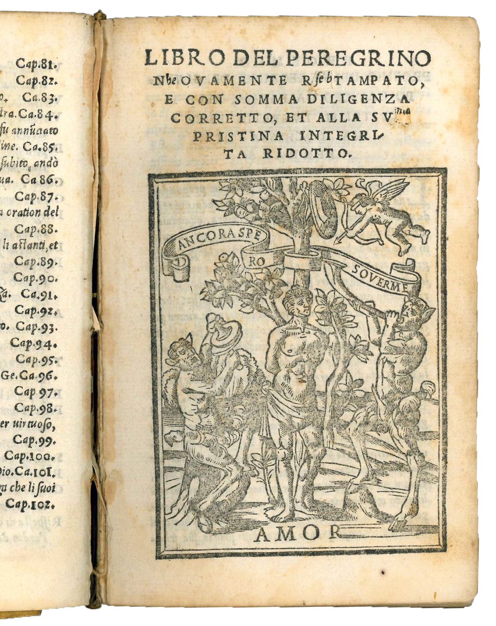 Il peregrino di M. Giacopo Caviceo da Parma. Nuovamente con …