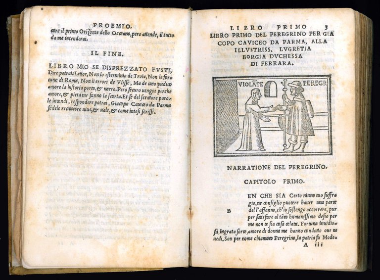 Il peregrino di M. Giacopo Caviceo da Parma. Nuovamente con …