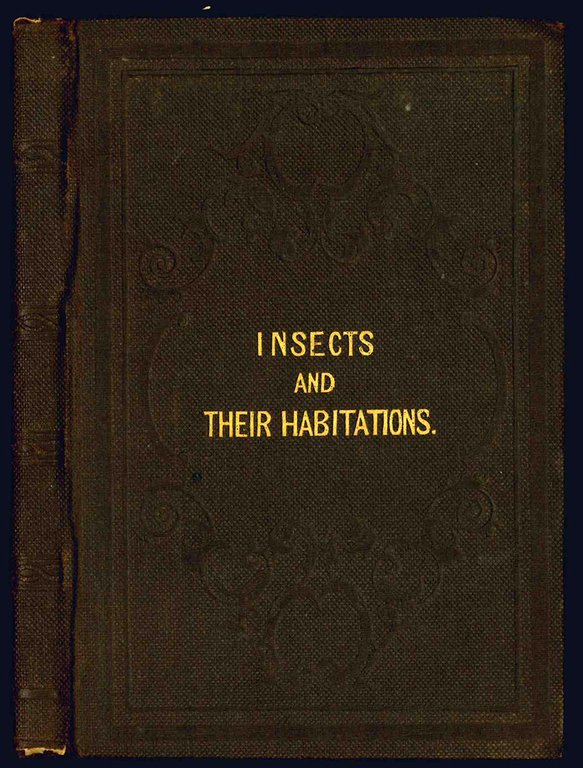 Insects and their habitations. A book for children.