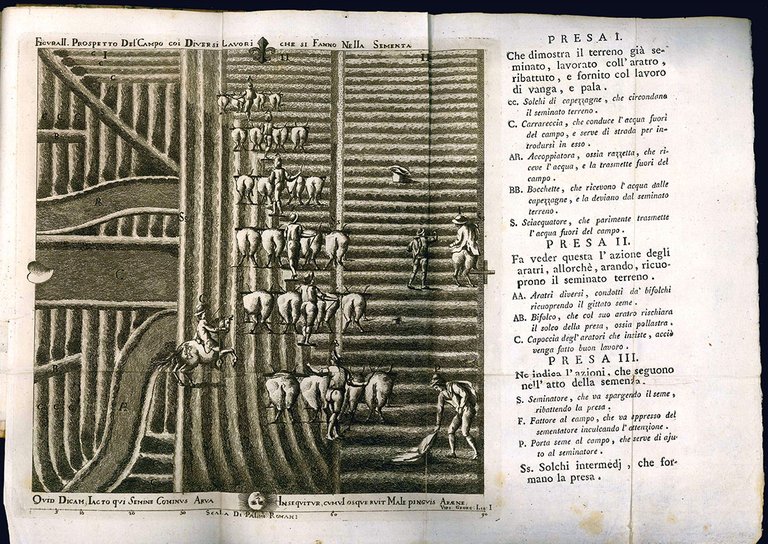 Istituzioni Georgiche per la coltivazione de' grani ad uso delle …
