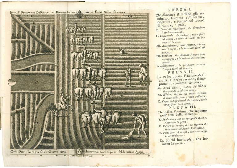 Istituzioni Georgiche per la coltivazione de' grani ad uso delle …