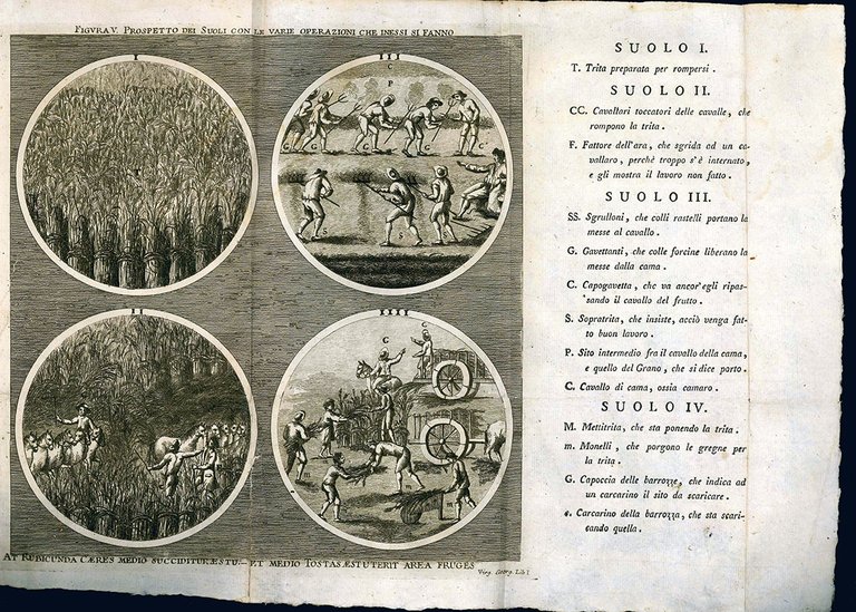 Istituzioni Georgiche per la coltivazione de' grani ad uso delle …