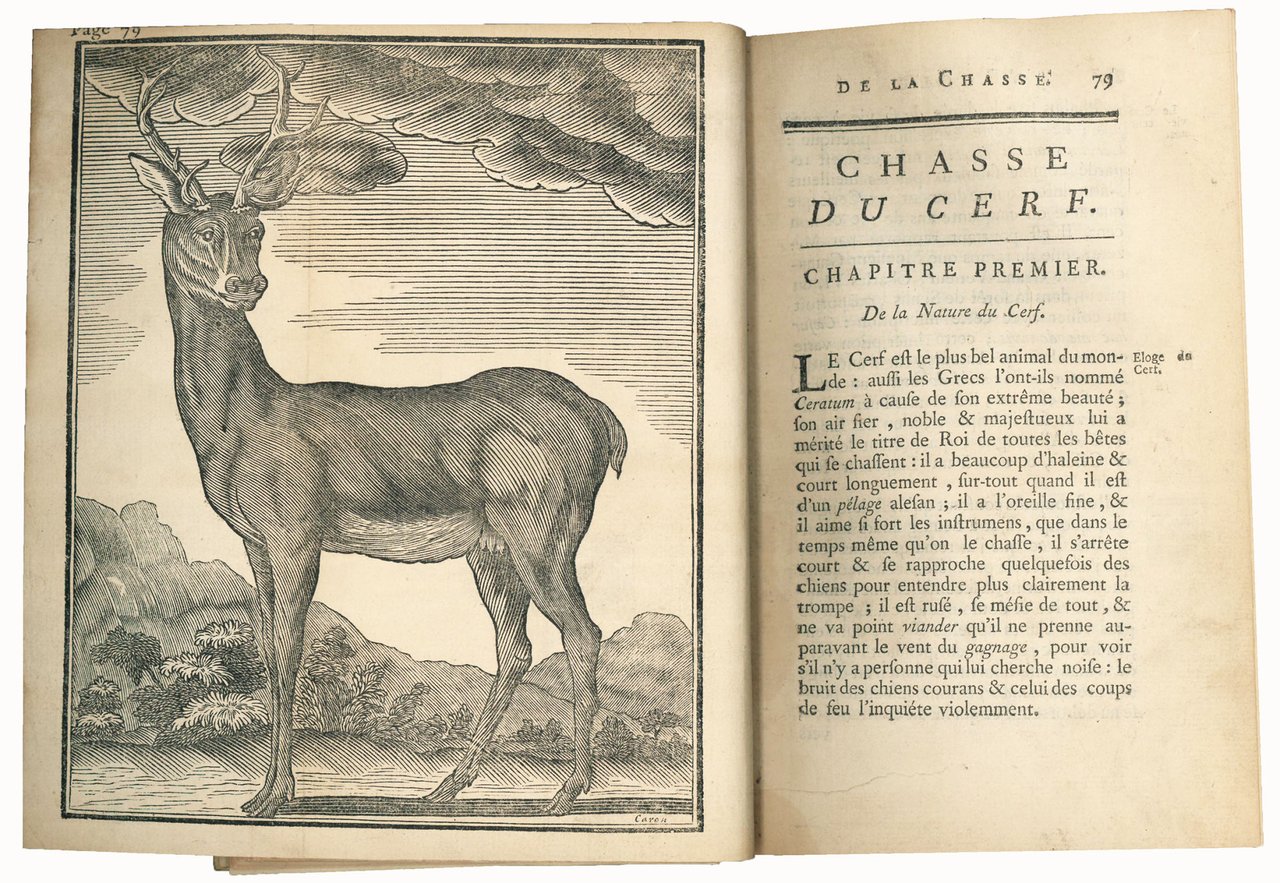 L'École de la chasse aux chiens courans, par Mr Le …