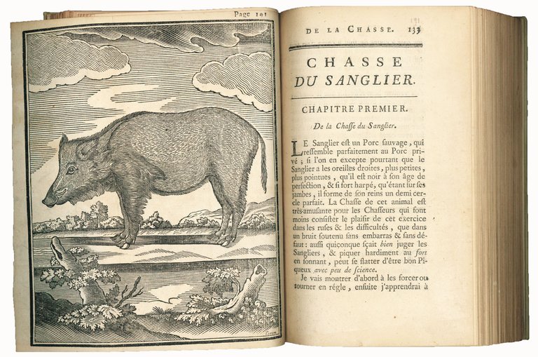 L'École de la chasse aux chiens courans, par Mr Le …
