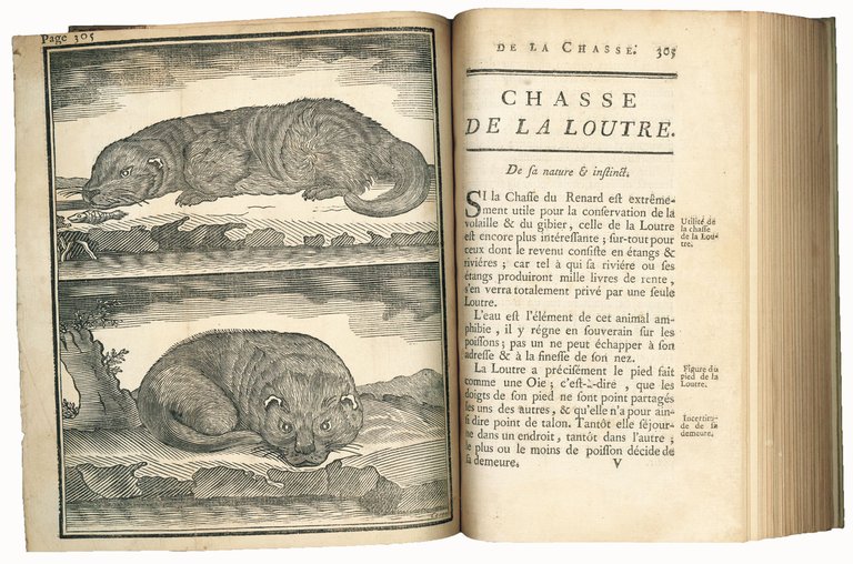 L'École de la chasse aux chiens courans, par Mr Le …