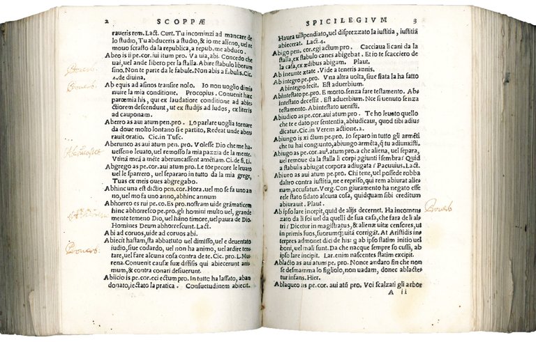 L. Io. Scoppae Spicilegium. In quo nomina, tum verba latina …