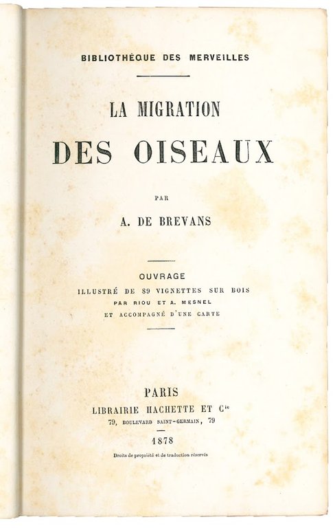 La migration des oiseaux