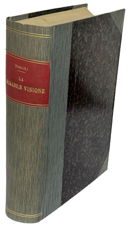 La mirabile visione. Abbozzo d'una storia della Divina Commedia