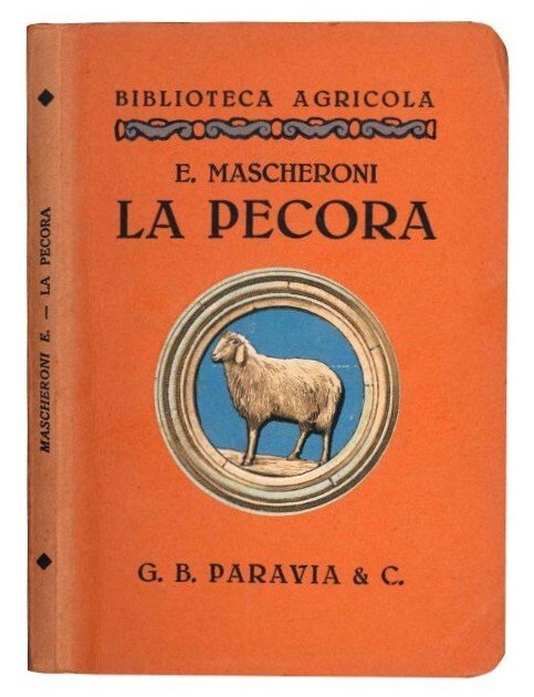 La Pecora.