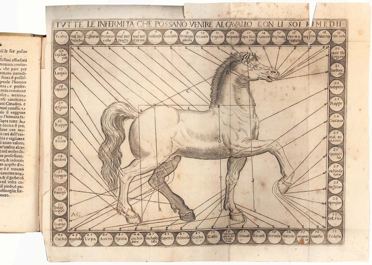 La perfettione del cavallo libri tre di Francesco Liberati romano. …