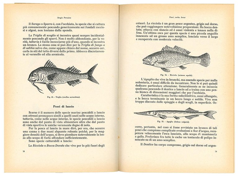 La pesca sportiva in Italia: pesci, esche, lenze.