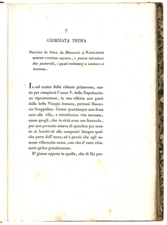 La selva napoleoniana opera di Tommaso Grapputo avvocato veneto