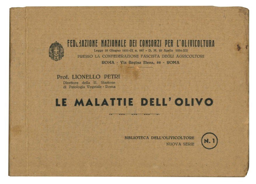 Le malattie dell'olivo: manuale pratico per l'identificazione delle malattie e …