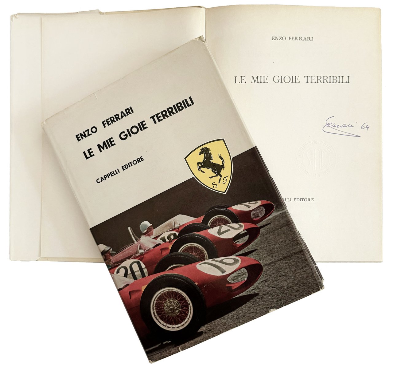 Le mie gioie terribili
