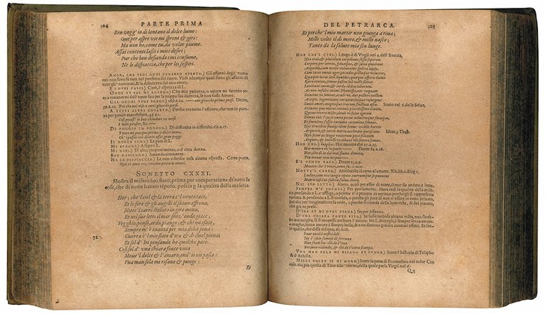 Le Rime del Petrarca brevemente sposte per Lodovico Castelvetro