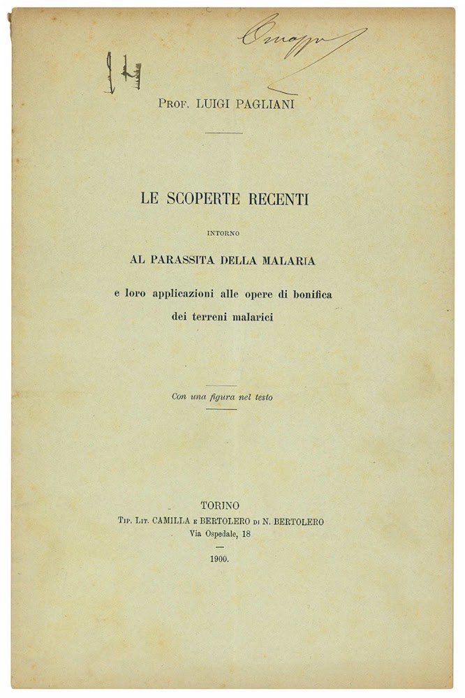 Le scoperte recenti intorno al parassita della malaria e le …