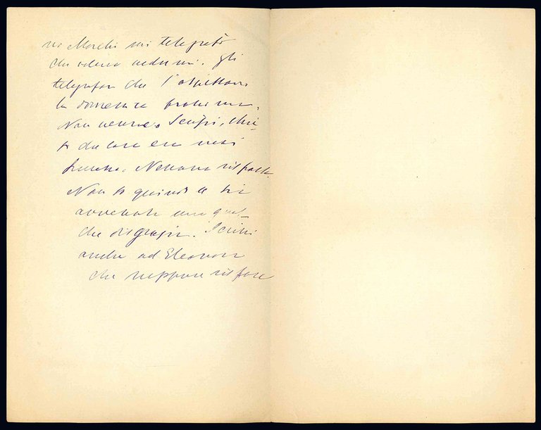 Lettera autografa. Firenze: 29...1898.