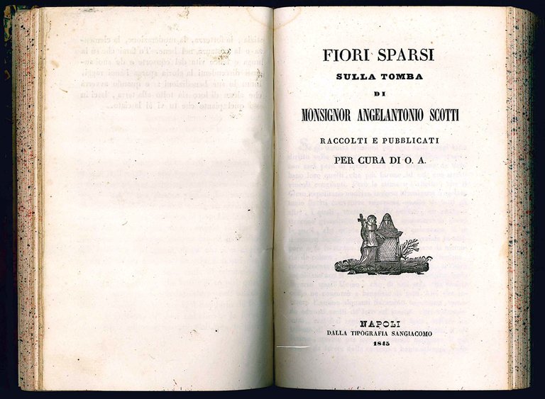 Lettere sulla sacra eloquenza di Monsignor canonico Agostino Peruzzi . …