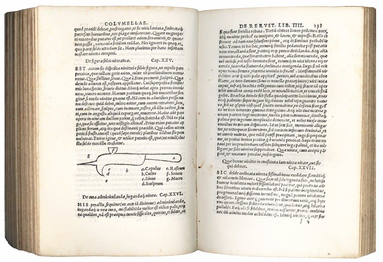 Libri de re rustica a Nicolao Angelio viro consumatissimo nuper …