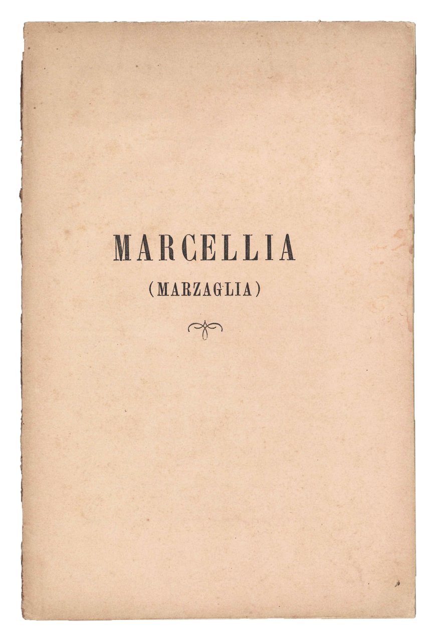 Marcellia. Marzaglia. | Immagine principale
