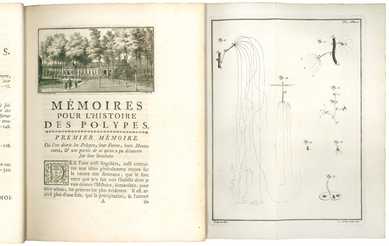 Mémoires, pour servir à l'histoire d'un genre de polypes d'eau …