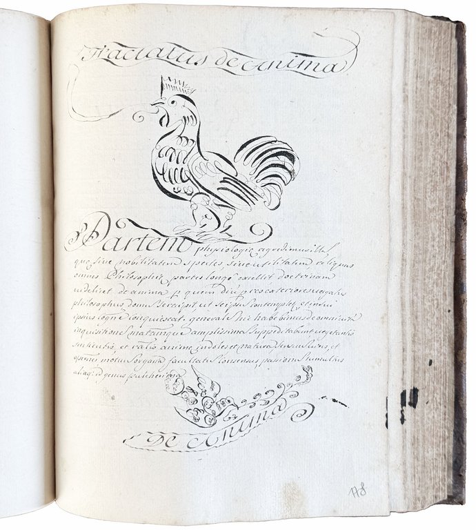 Methaphisica tradita ab admodum R.P. Ghesio Soc. Jesu Anno 1721. … | Immagine Gallery 9