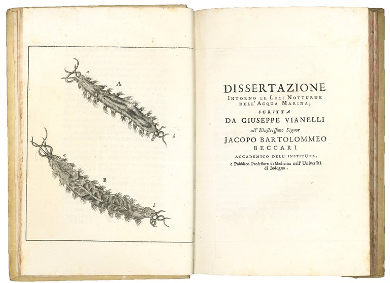 Miscellany volume containing 8 publications. 198x130 mm. Bound in contemporary …