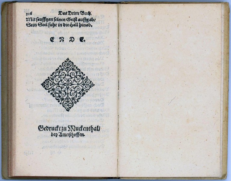 Mückenkrieg, Darin zu befinden, Welcher Gestalt die Mücken, neben ihren …