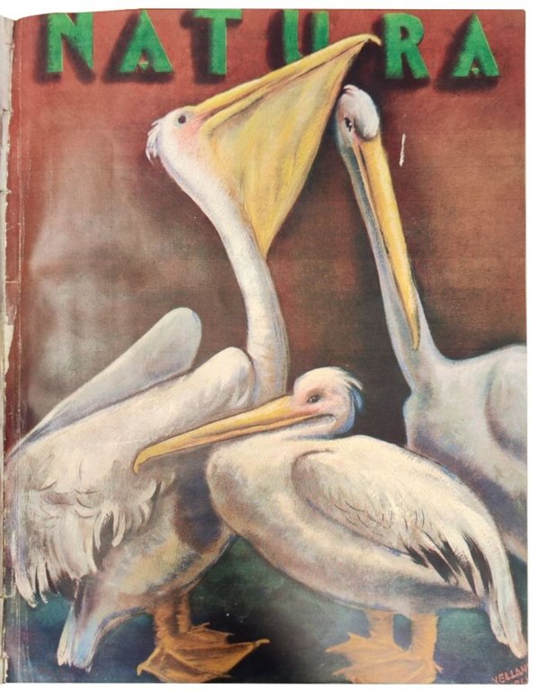 Natura: rivista mensile illustrata. 4 Volumi: 1929 vol. I-II, 1930 …