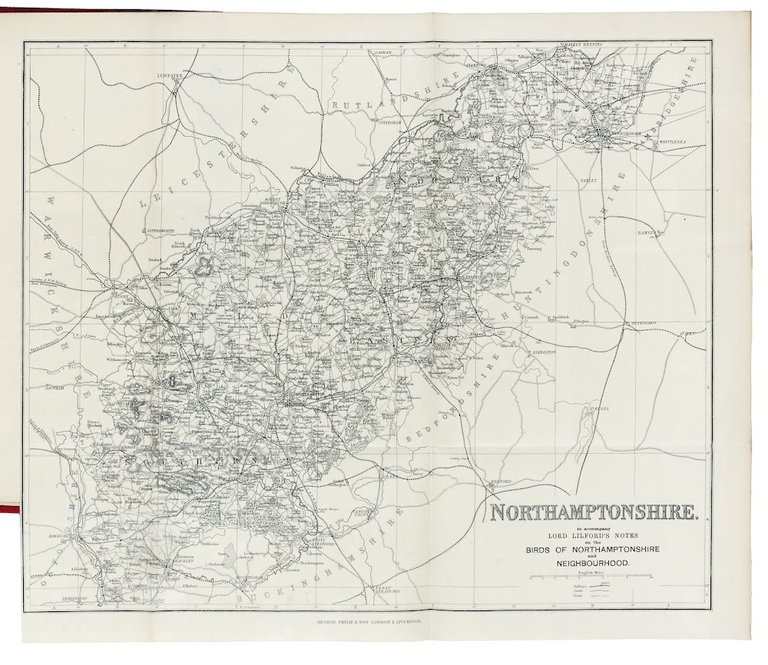 Notes on the Birds of Northamptonshire and Neighbourhood. Illustrated by …