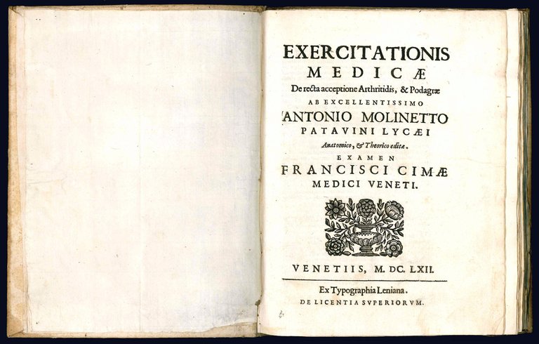 [...] Nova auris internae delineatio