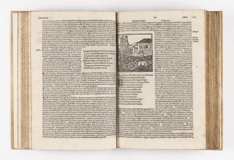 [...] Opera. Cum quatuor commentariis &amp; figuris nuper additis