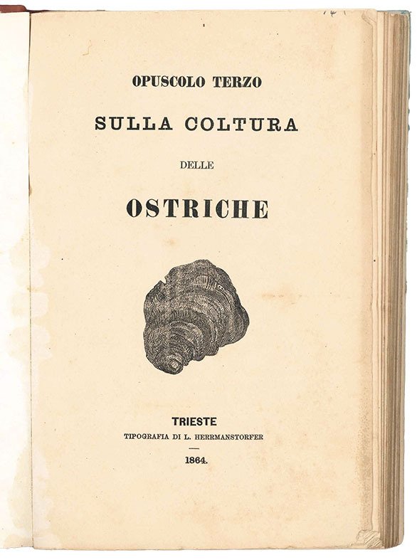 Opuscolo terzo sulla coltura delle ostriche | Immagine principale