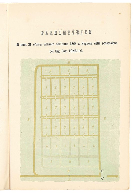 Opuscolo terzo sulla coltura delle ostriche | Immagine Gallery 4