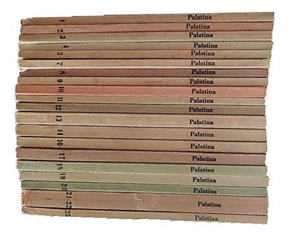 Palatina. Rivista trimestrale di lettere e arti. Dal nr. 1 … | Immagine principale