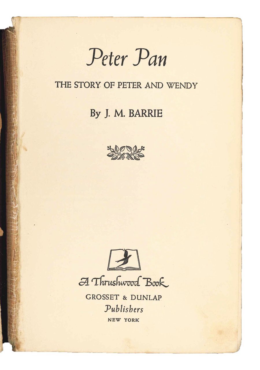 Peter Pan. The story of Peter and Wendy. | Immagine principale