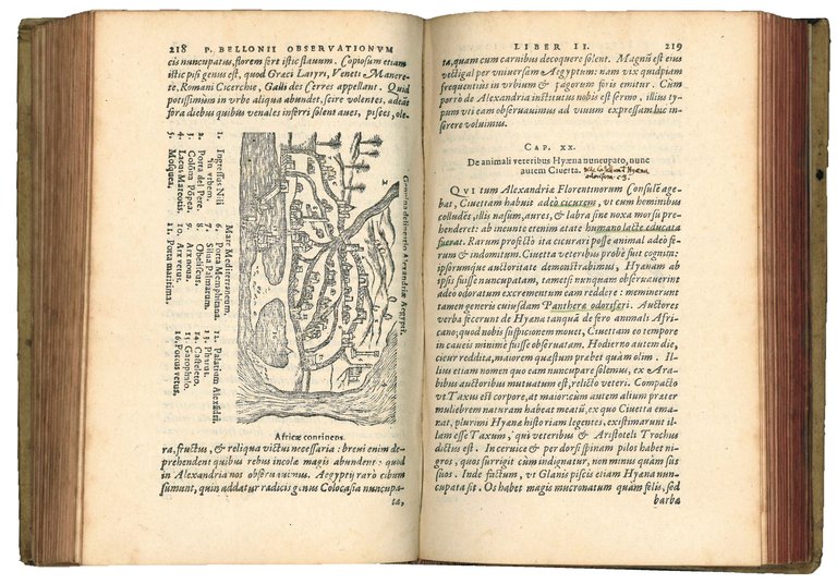 Petri Bellonii Cenomani, Plurimarum singularium &amp; memorabilium rerum in Graecia, …