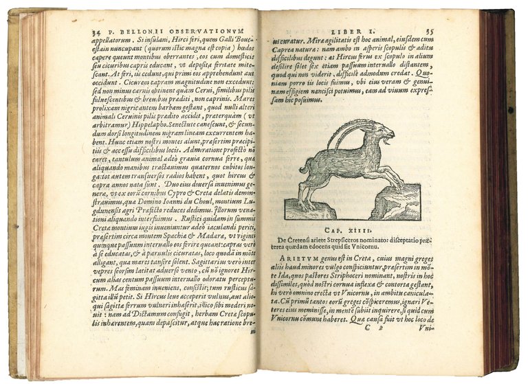 Petri Bellonii Cenomani, Plurimarum singularium &amp; memorabilium rerum in Graecia, …