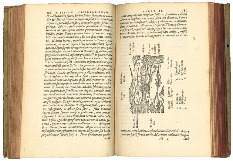 Petri Bellonii Cenomani, Plurimarum singularium &amp; memorabilium rerum in Graecia, …