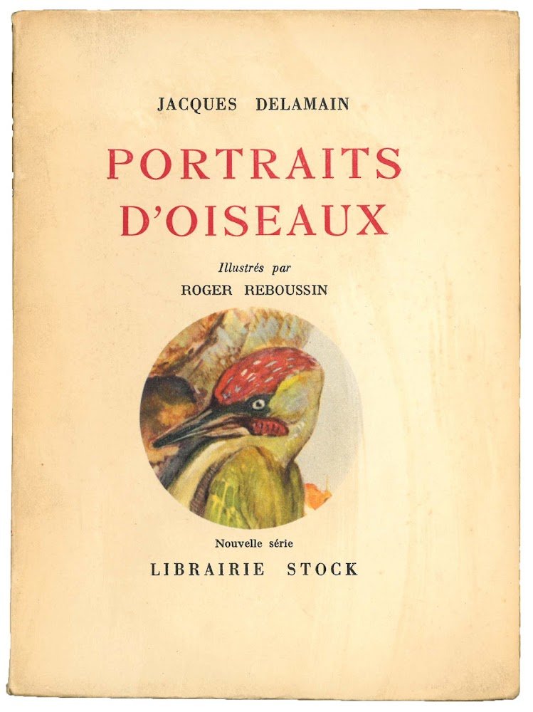 Portraits d'oiseaux (nouvelle série)