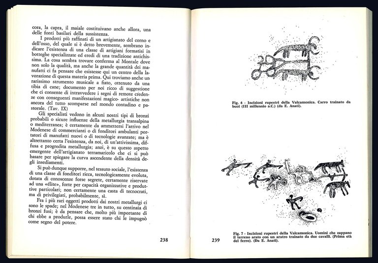 Preistoria e protostoria del modenese.