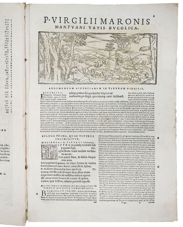 Publii Virgilii Maronis Opera, cum Servii commentariis, exactiori cura suae …