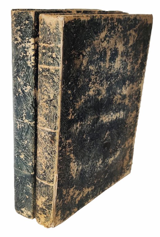 Publii Virgilii Maronis opera. Interpretatione et notis illustrauit Carolus Ruaeus …