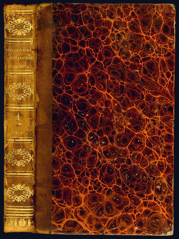Recitationes in quinquaginta libros digestorum. Ex lectionibus tam publicis quam …