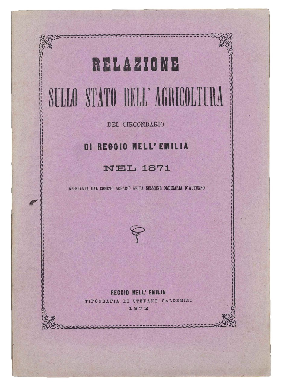 Relazione sullo stato dell'agricoltura del circondario di Reggio nell'Emilia nel … | Immagine principale