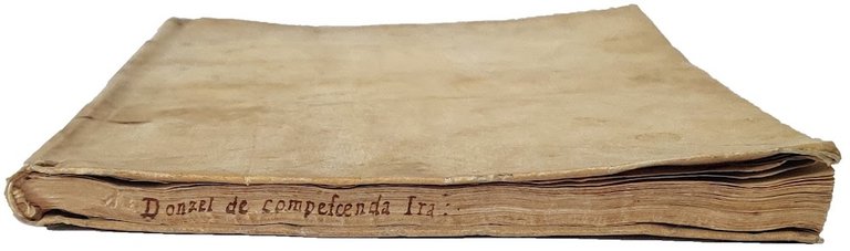 Remedium ferendarum iniuriarum, sive de compescenda ira