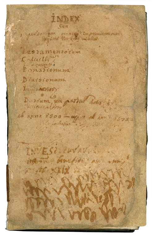 Repertorium seu Index Instrumentorum omnium registratorum in [...] seu Libri …
